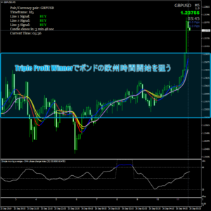 Triple Profit Winnerでポンドの欧州時間開始を狙う