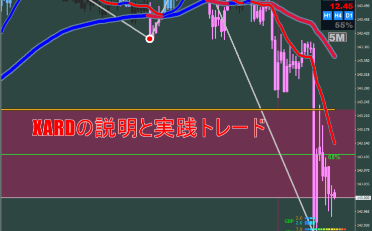 XARDの説明と実践トレード