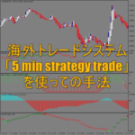 海外FXトレードシステム「5 min strategy trade」を使っての手法