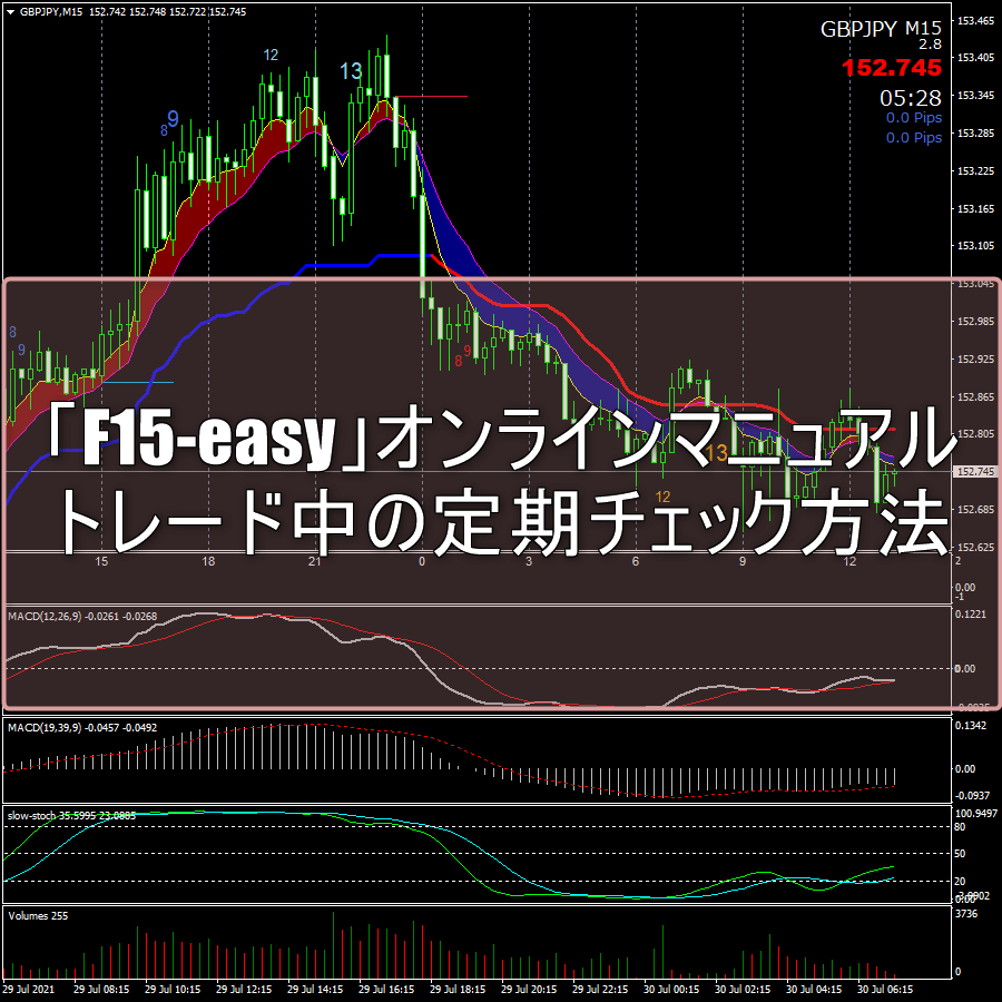 「F15-easy」オンラインマニュアル：トレード中の定期チェック方法