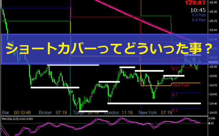 ショートカバーってよく聞くけどどういう事？