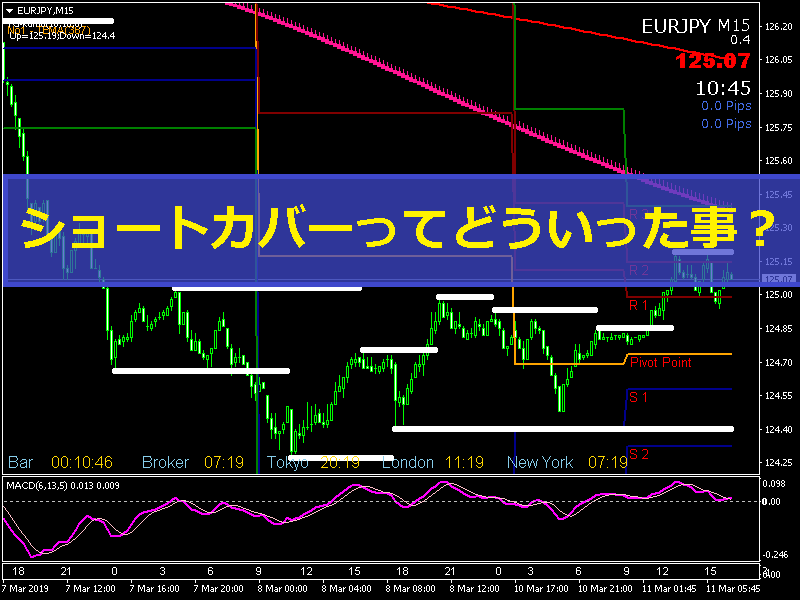 ショートカバーってよく聞くけどどういう事？