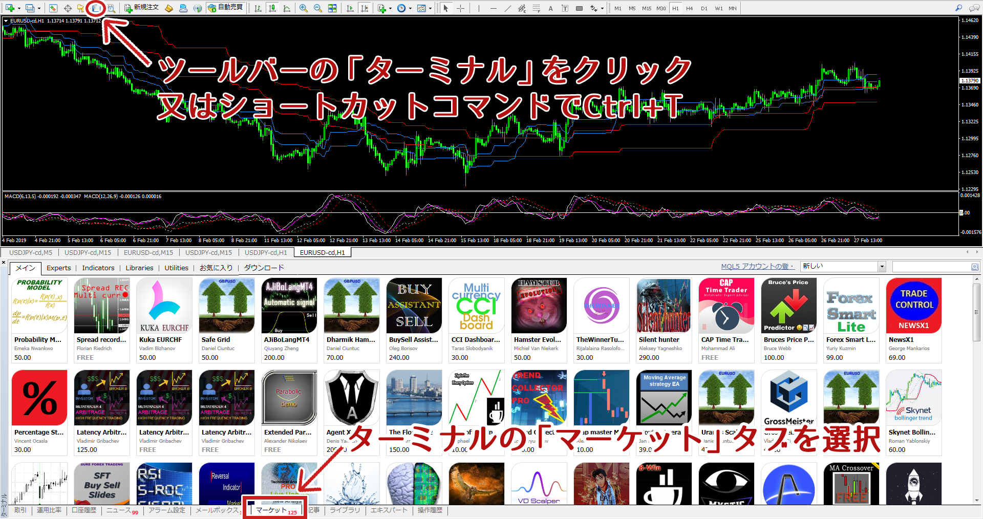 First Terminal Fx colorlevels-terminal-market | FXフレンズ|FX初心者向けの基礎知識&口座開設