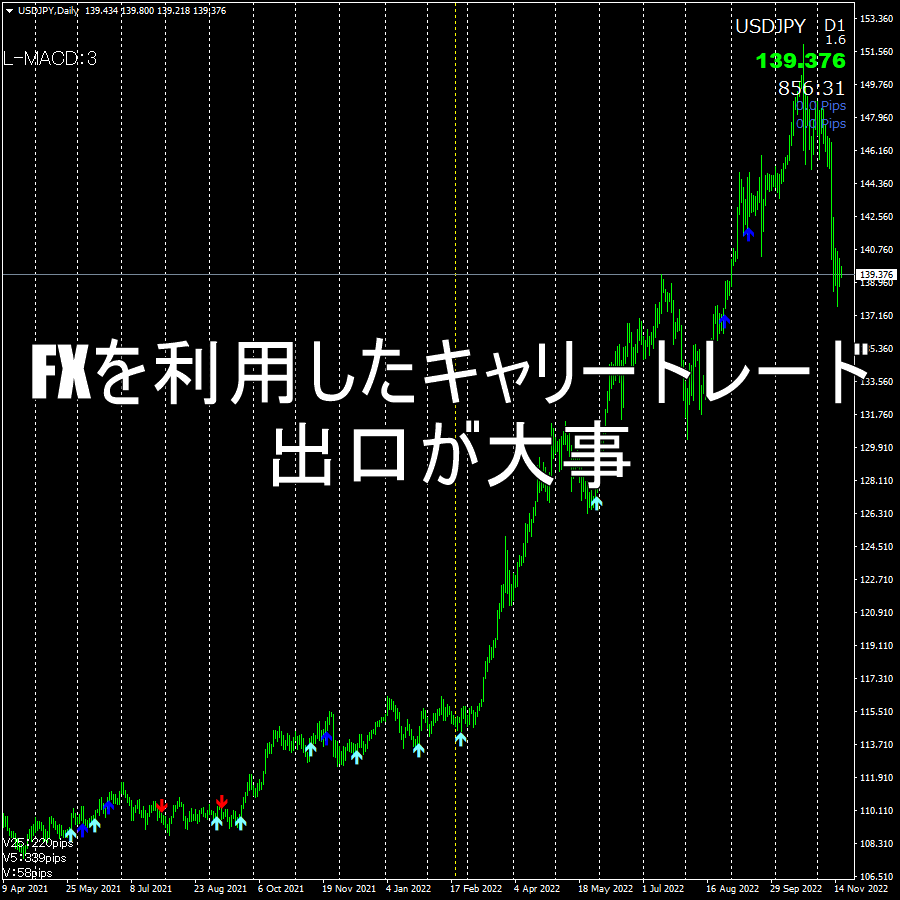 FXを利用したキャリートレードは出口が大事