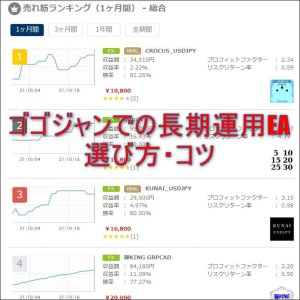 ゴゴジャンでの長期運用EAの選び方・コツ