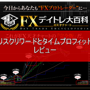 FXismデイトレ大百科「リスクリワードとタイムプロフィット（時間効率）」のレビュー