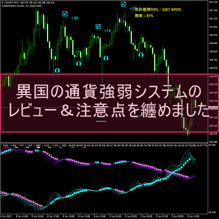 異国の通貨強弱システムのレビュー＆注意点を纏めました