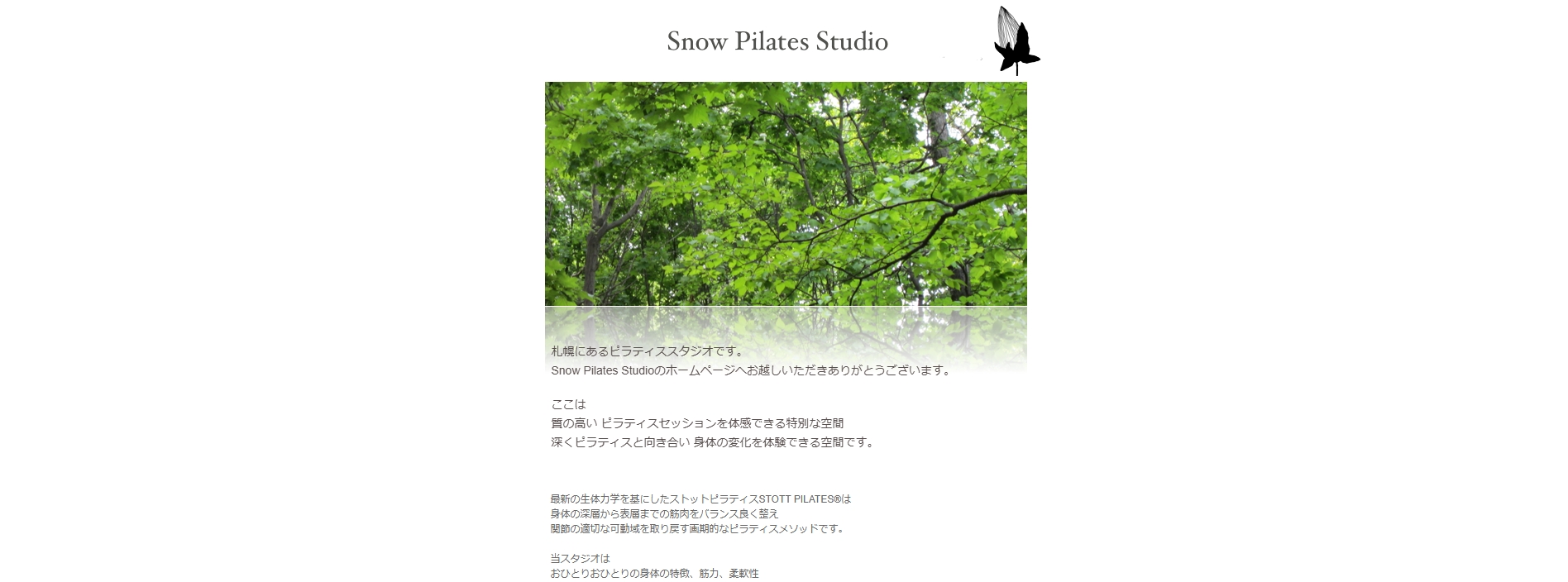 Snow Pilates Studio