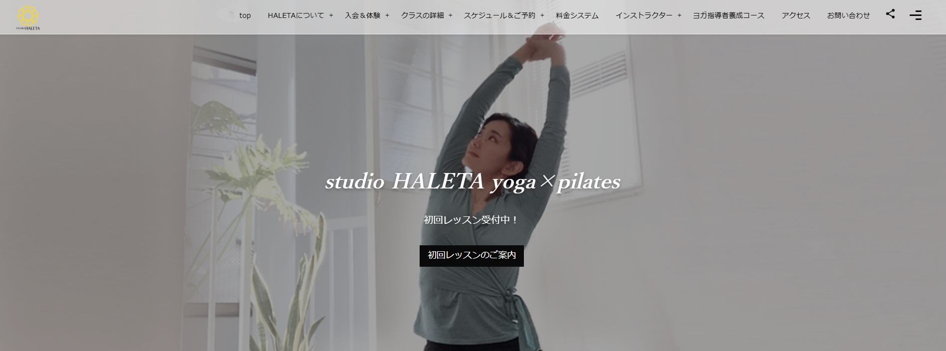 studio HALETA