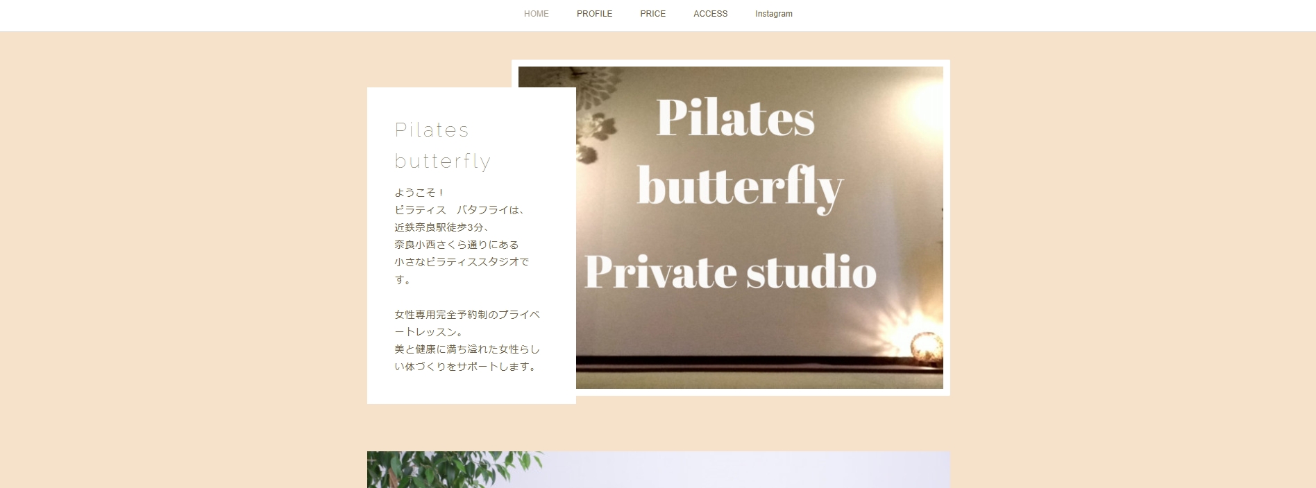 pilates butterfly